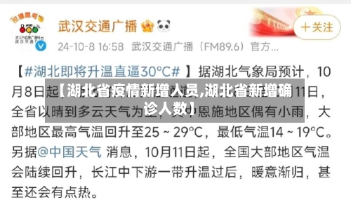 【湖北省疫情新增人员,湖北省新增确诊人数】-第3张图片