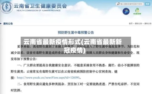 云南省最新疫情形式(云南省最新新冠疫情)-第1张图片