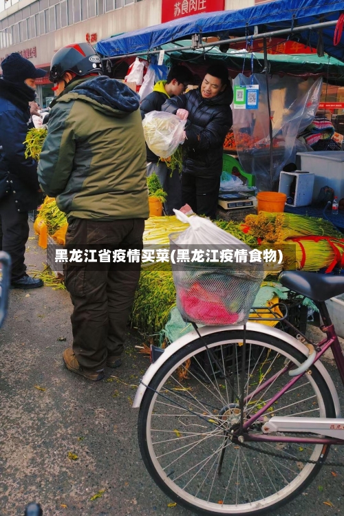 黑龙江省疫情买菜(黑龙江疫情食物)-第1张图片