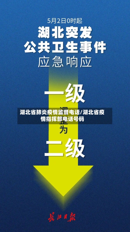湖北省肺炎疫情监督电话/湖北省疫情指挥部电话号码-第3张图片