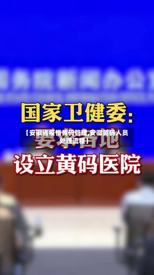 【安徽省疫情黄码管理,安徽黄码人员处理流程】-第2张图片
