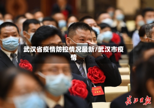 武汉省疫情防控情况最新/武汉市疫情-第1张图片