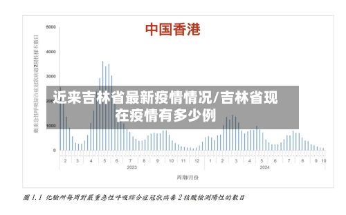 近来吉林省最新疫情情况/吉林省现在疫情有多少例-第2张图片
