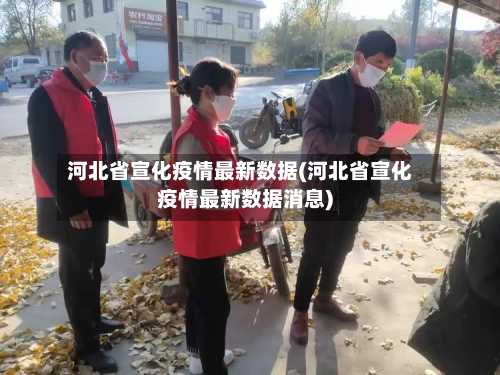 河北省宣化疫情最新数据(河北省宣化疫情最新数据消息)-第1张图片