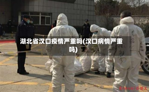 湖北省汉口疫情严重吗(汉口病情严重吗)-第3张图片
