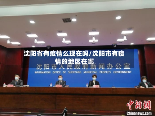 沈阳省有疫情么现在吗/沈阳市有疫情的地区在哪-第1张图片