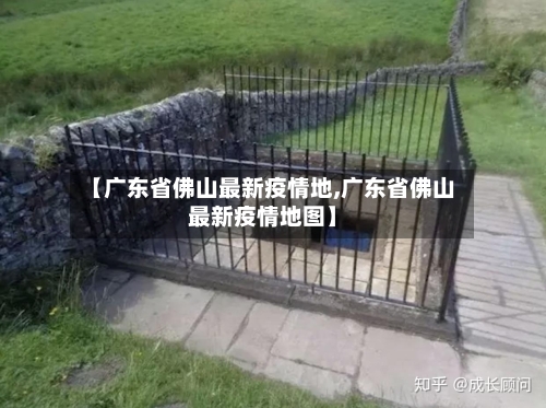 【广东省佛山最新疫情地,广东省佛山最新疫情地图】-第2张图片