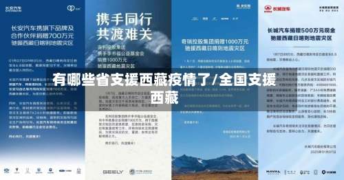 有哪些省支援西藏疫情了/全国支援西藏-第3张图片