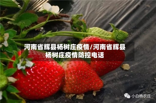 河南省辉县杨树庄疫情/河南省辉县杨树庄疫情防控电话-第3张图片