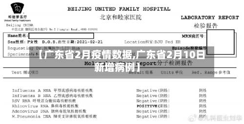 【广东省2月疫情数据,广东省2月10日新增病例】-第1张图片