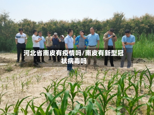 河北省南皮有疫情吗/南皮有新型冠状病毒吗-第1张图片