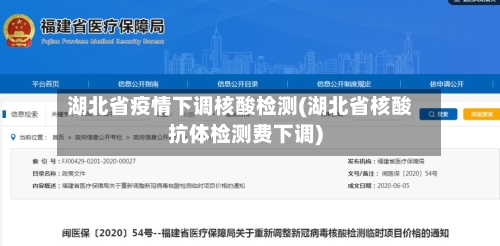 湖北省疫情下调核酸检测(湖北省核酸抗体检测费下调)-第2张图片