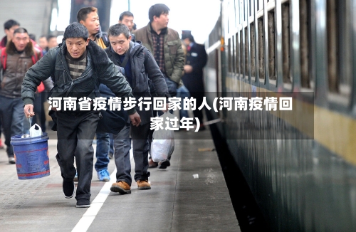 河南省疫情步行回家的人(河南疫情回家过年)-第3张图片