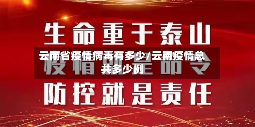 云南省疫情病毒有多少/云南疫情总共多少例-第2张图片