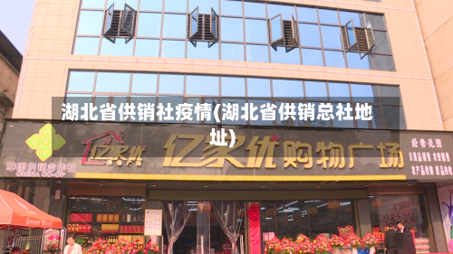 湖北省供销社疫情(湖北省供销总社地址)-第2张图片
