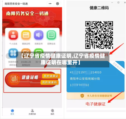 【辽宁省疫情健康证明,辽宁省疫情健康证明在哪里开】-第3张图片