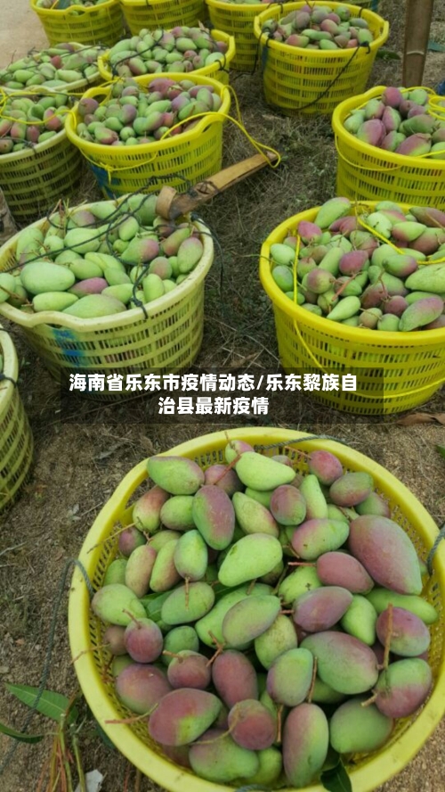 海南省乐东市疫情动态/乐东黎族自治县最新疫情-第2张图片