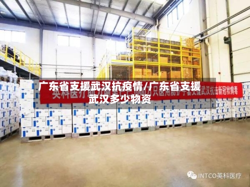 广东省支援武汉抗疫情/广东省支援武汉多少物资-第2张图片