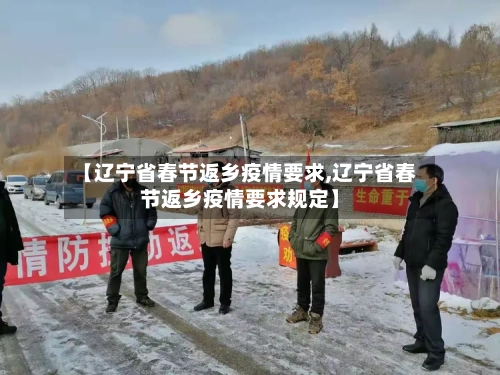 【辽宁省春节返乡疫情要求,辽宁省春节返乡疫情要求规定】-第1张图片