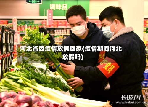 河北省因疫情放假回家(疫情期间河北放假吗)-第3张图片