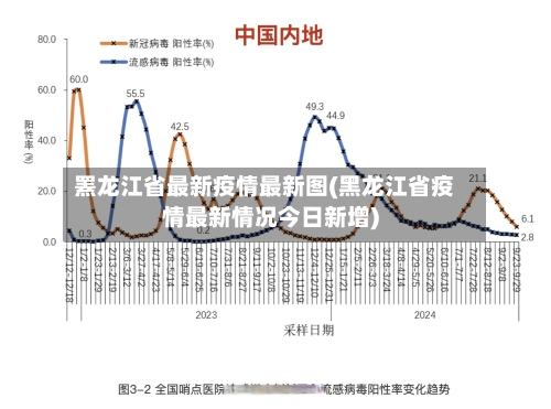 罴龙江省最新疫情最新图(黑龙江省疫情最新情况今日新增)-第3张图片