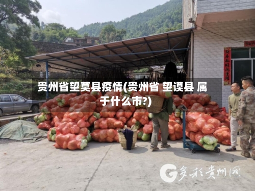 贵州省望莫县疫情(贵州省 望谟县 属于什么市?)-第1张图片