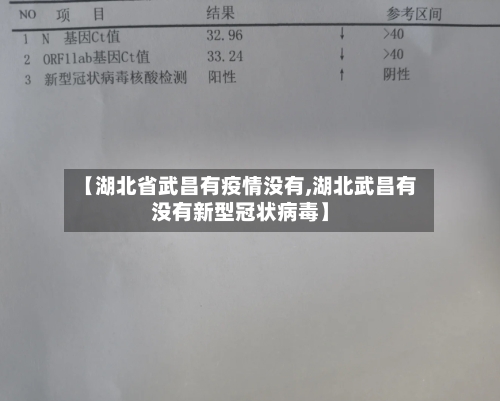 【湖北省武昌有疫情没有,湖北武昌有没有新型冠状病毒】-第1张图片