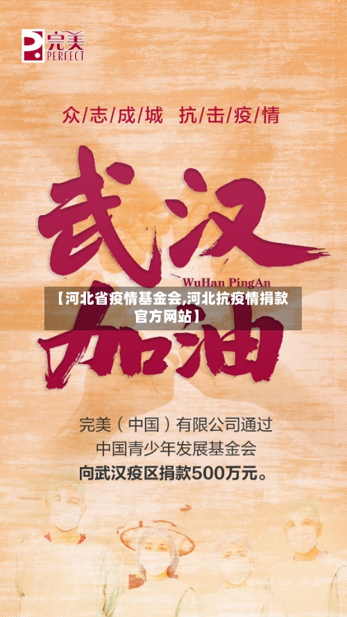 【河北省疫情基金会,河北抗疫情捐款官方网站】-第2张图片