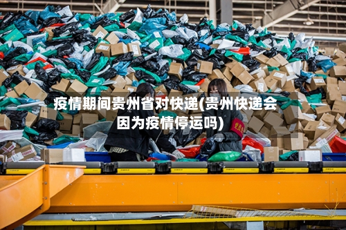 疫情期间贵州省对快递(贵州快递会因为疫情停运吗)-第2张图片