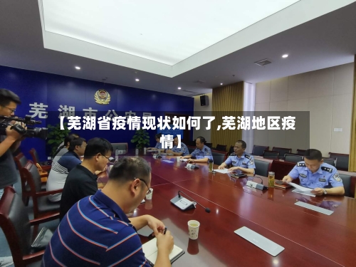 【芜湖省疫情现状如何了,芜湖地区疫情】-第1张图片