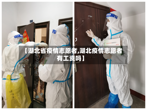 【湖北省疫情志愿者,湖北疫情志愿者有工资吗】-第3张图片