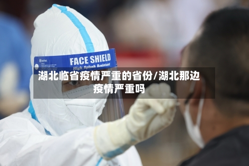 湖北临省疫情严重的省份/湖北那边疫情严重吗-第1张图片