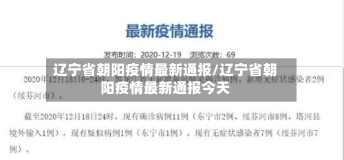 辽宁省朝阳疫情最新通报/辽宁省朝阳疫情最新通报今天-第2张图片