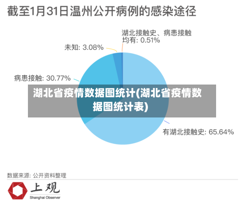 湖北省疫情数据图统计(湖北省疫情数据图统计表)-第3张图片