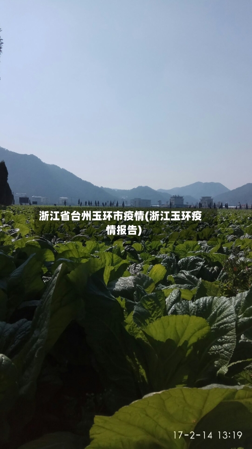 浙江省台州玉环市疫情(浙江玉环疫情报告)-第1张图片