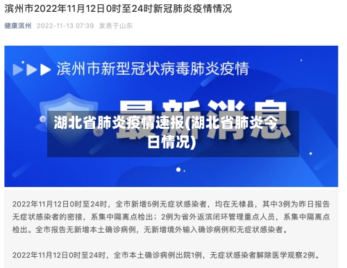 湖北省肺炎疫情速报(湖北省肺炎今日情况)-第2张图片