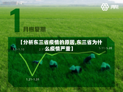 【分析东三省疫情的原因,东三省为什么疫情严重】-第1张图片