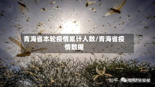 青海省本轮疫情累计人数/青海省疫情数据-第1张图片