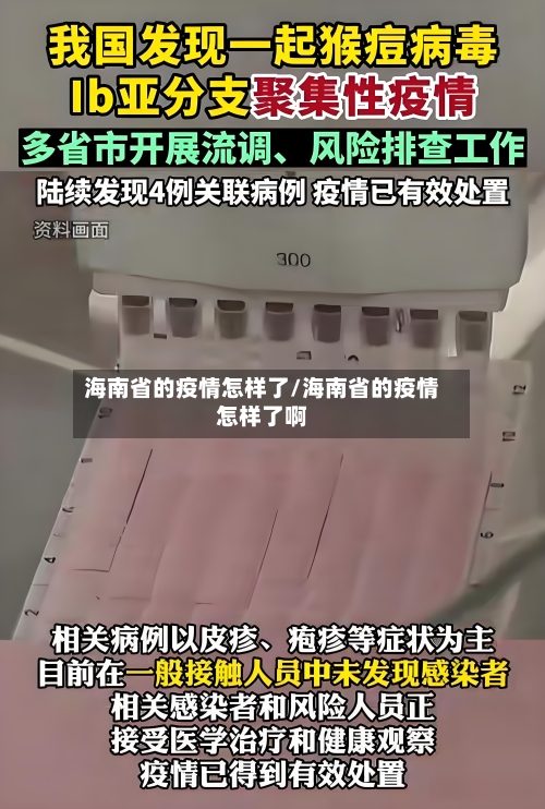 海南省的疫情怎样了/海南省的疫情怎样了啊-第3张图片