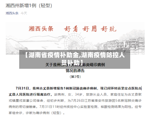 【湖南省疫情补助金,湖南疫情防控人员补助】-第3张图片