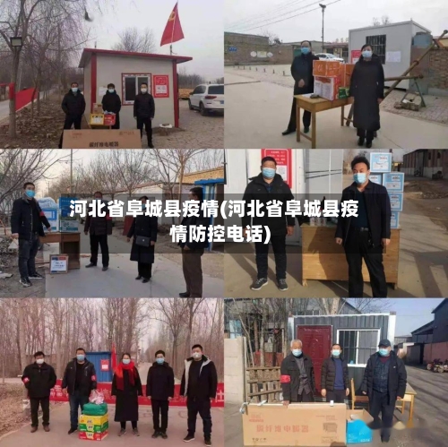 河北省阜城县疫情(河北省阜城县疫情防控电话)-第2张图片