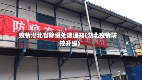 疫情湖北省降级处理通知(湖北疫情防控升级)-第3张图片
