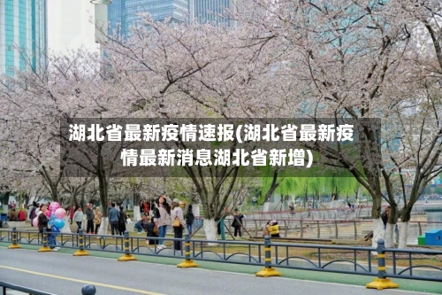 湖北省最新疫情速报(湖北省最新疫情最新消息湖北省新增)-第2张图片