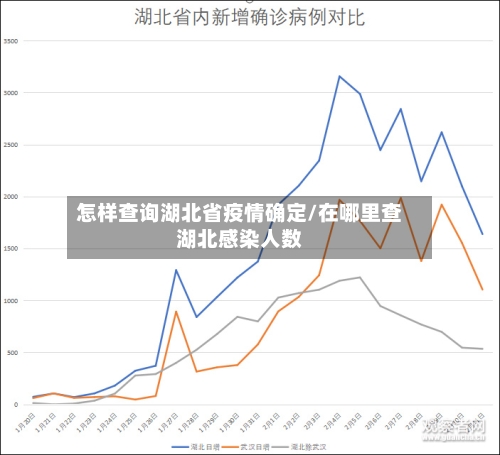 怎样查询湖北省疫情确定/在哪里查湖北感染人数-第2张图片