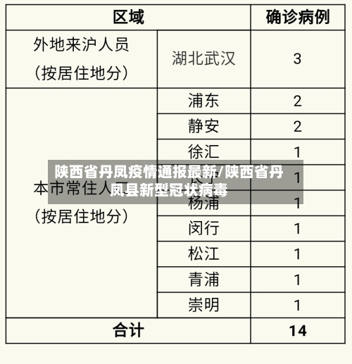 陕西省丹凤疫情通报最新/陕西省丹凤县新型冠状病毒-第3张图片