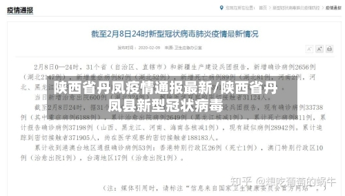 陕西省丹凤疫情通报最新/陕西省丹凤县新型冠状病毒-第2张图片