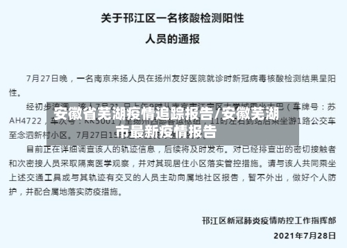 安徽省芜湖疫情追踪报告/安徽芜湖市最新疫情报告-第2张图片