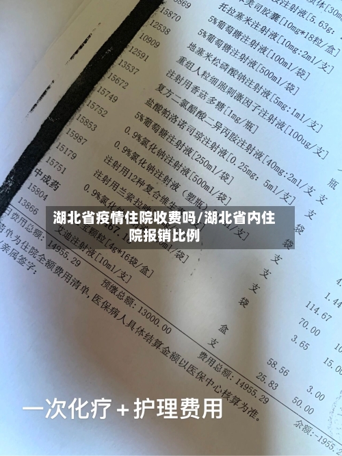 湖北省疫情住院收费吗/湖北省内住院报销比例-第2张图片