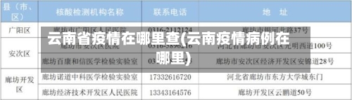 云南省疫情在哪里查(云南疫情病例在哪里)-第3张图片