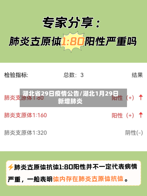 湖北省29日疫情公告/湖北1月29日新增肺炎-第2张图片
